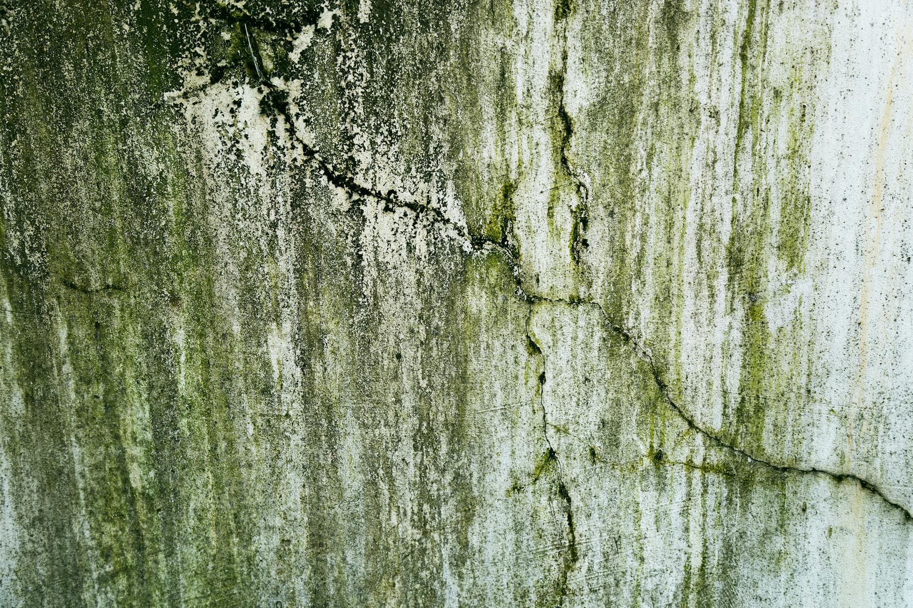 Mold and water damage on a wall
