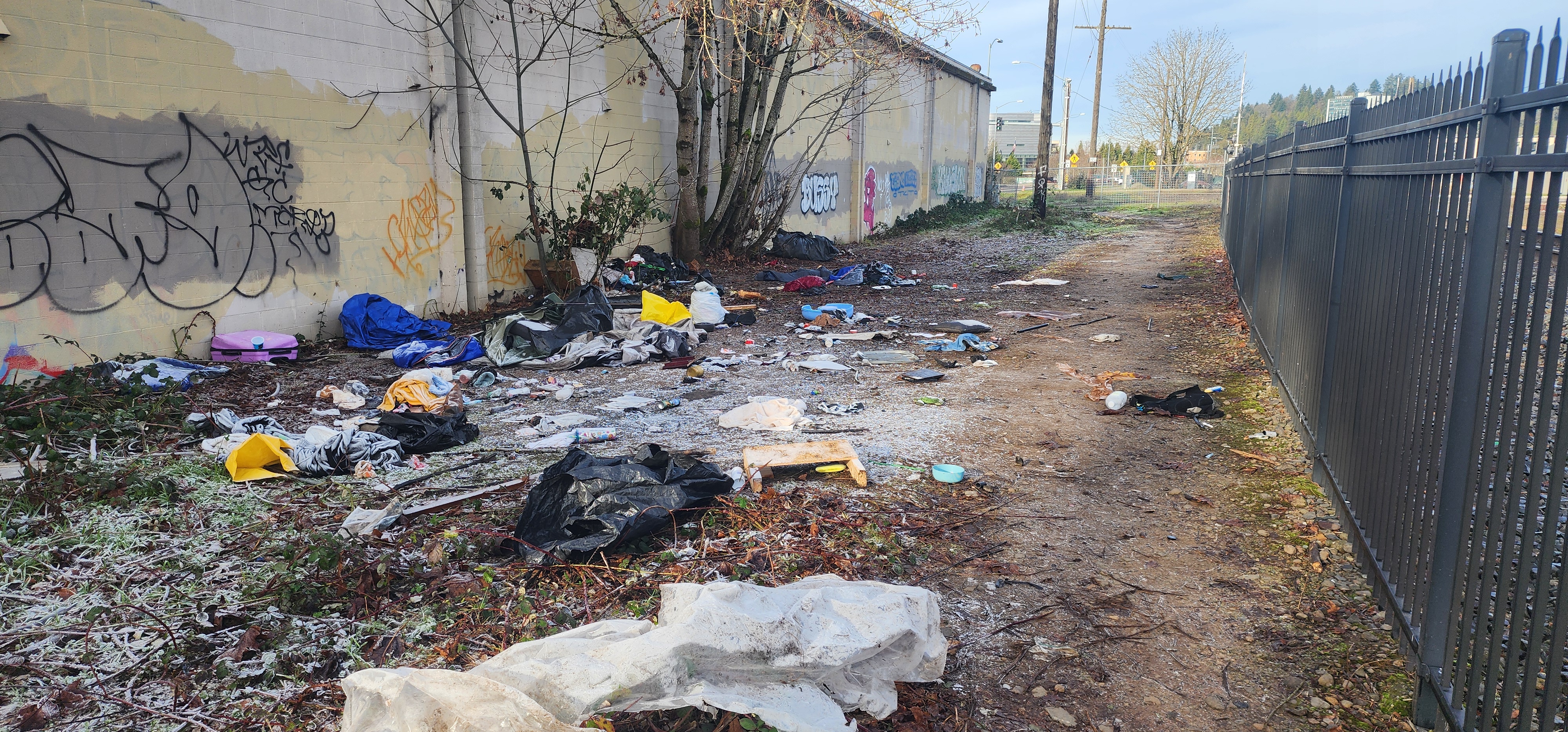 Homeless Camp Debris Removal - Dedication Services